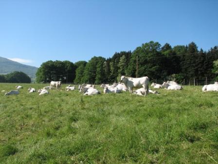 vita nell' agriturismo